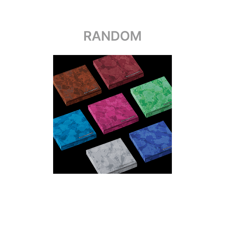 ENHYPEN THE SIN : VANISH (FUGITIVES Ver.)