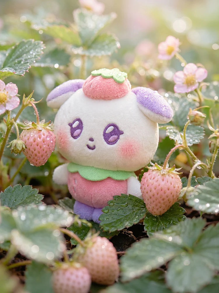 [Pre-order] Jjongyo MIGHTEEZ Berry Breezy Fairy