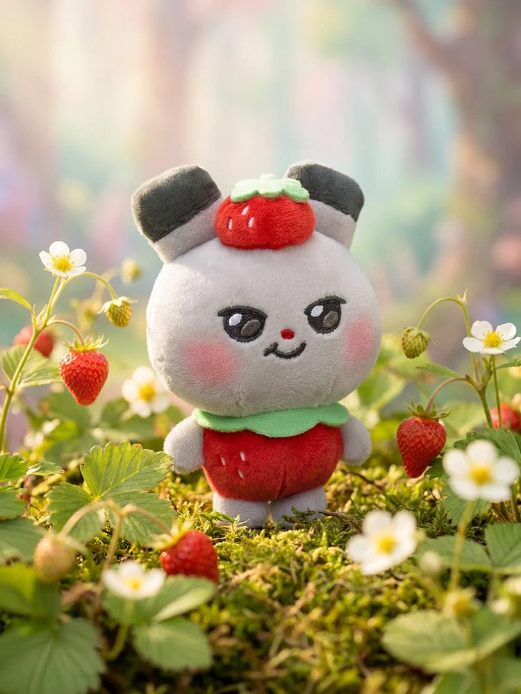 [Pre-order] Ddeongyo MIGHTEEZ Berry Breezy Fairy