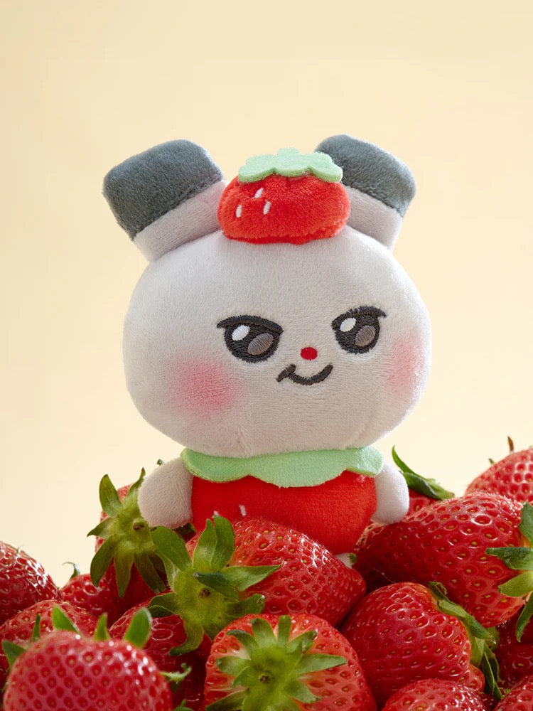 [Pre-order] Ddeongyo MIGHTEEZ Berry Breezy Fairy