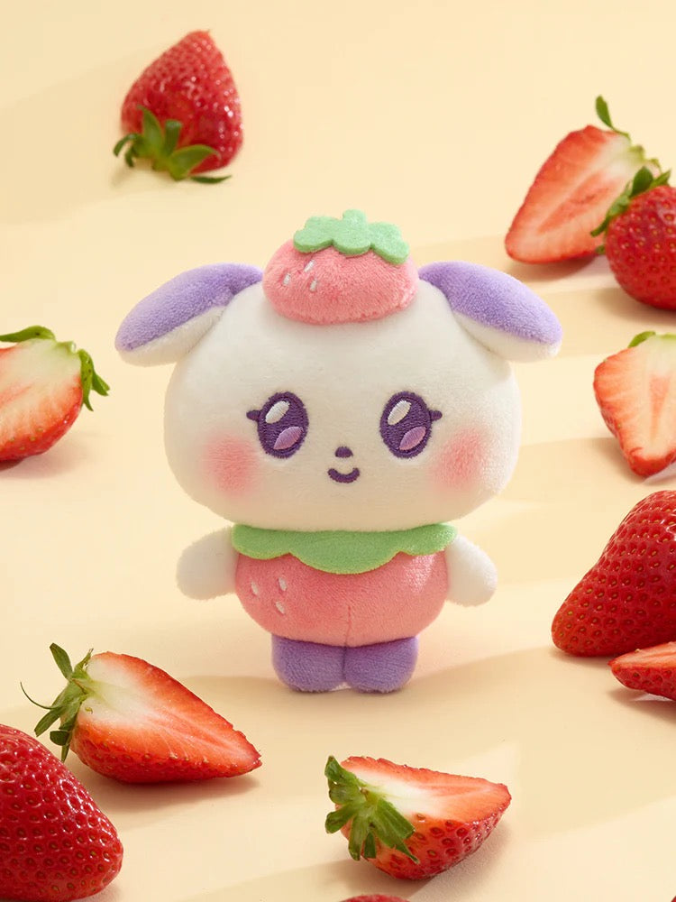 [Pre-order] Jjongyo MIGHTEEZ Berry Breezy Fairy
